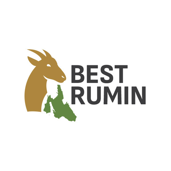 logo_best_rumin